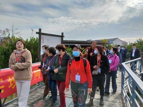 文化公司攜手推進國家農產品質量安全市宣傳進基地活動——守護舌尖安全，從源頭開始
